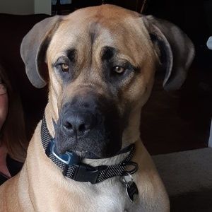 Meet your Posher, Elly